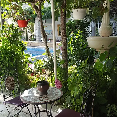 Ines - Annex Ζαντάρ