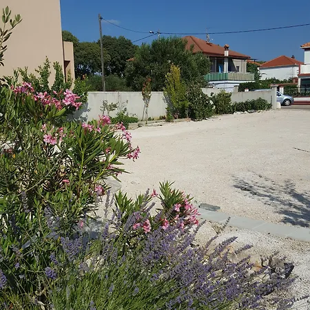 Ines - Annex Ζαντάρ